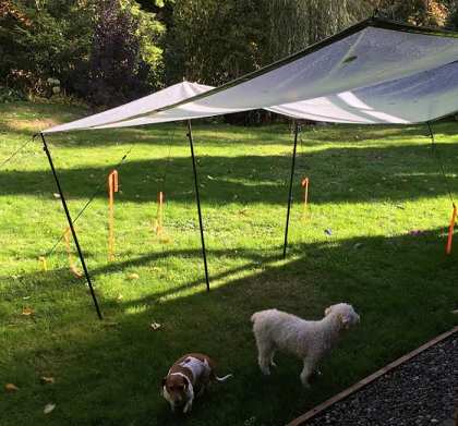 Tarps make great shade for your pets Tarps make great shade for your pets